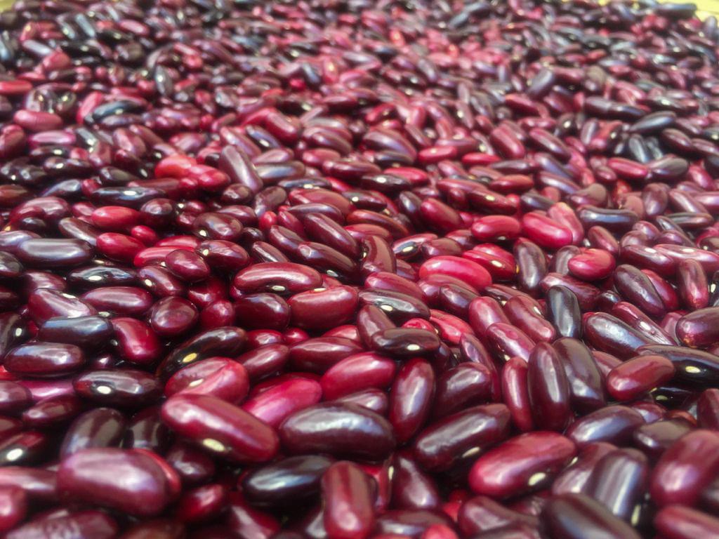 Red Kidney Beans