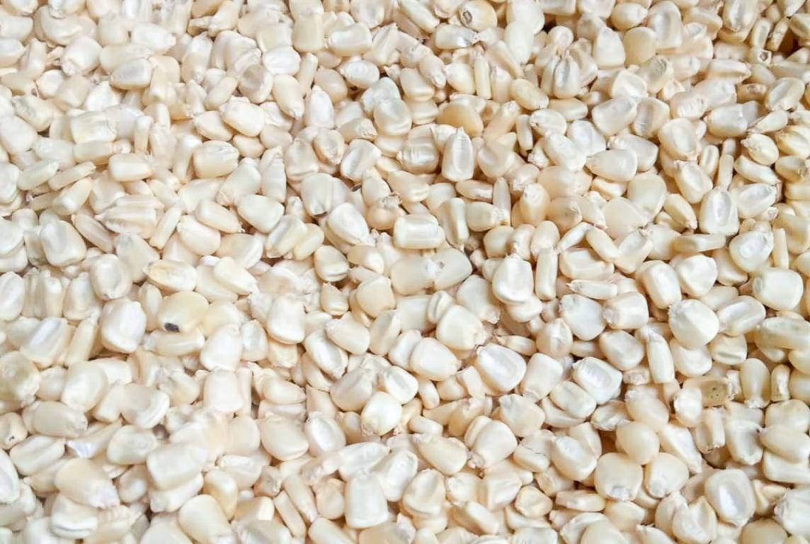 White Maize