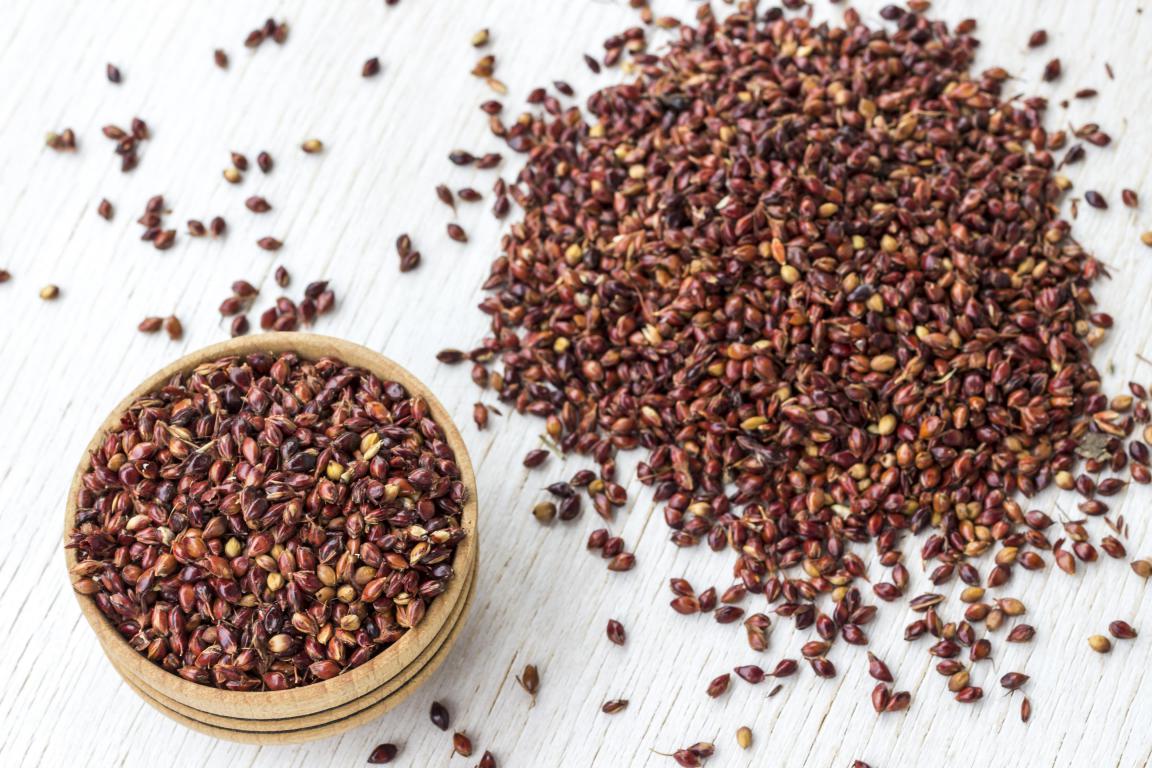 Red Sorghum