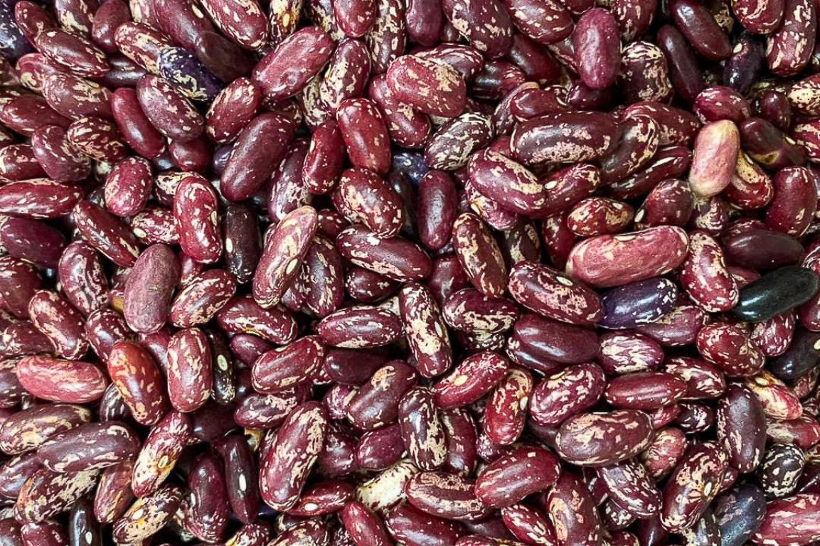 White Speckled Round Red Beans