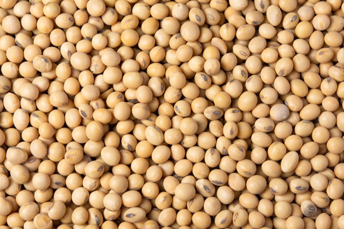 Soybeans